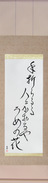 Japanese Hanging Scroll - Chiyojo - To the person breaking off the branch, giving its fragrance, the plum blossom (taoraruru hito ni kaoru ya ume no hana)  (VD6A)