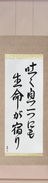 Japanese Hanging Scroll - Life in Every Breath (hakuiki hitotsu ni mo seimei ga yadori)  (VD5A)