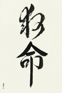 Japanese Calligraphy Art - Lifesaving (kyuumei)  (VD6A)