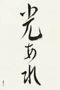 Japanese Calligraphy Art - Let There Be Light (hikari are)  (VS6A)