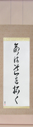 Japanese Hanging Scroll - Life Will Find A Way (inochi wa michi wo hiraku)  (VC5A)