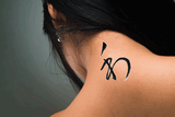 Japanese Harmony Tattoo by Master Japanese Calligrapher Eri Takase
