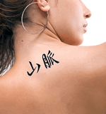 Japanese Mountain Range Tattoo by Master Japanese Calligrapher Eri Takase