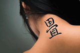 Japanese Tatami Tattoo by Master Japanese Calligrapher Eri Takase