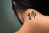Japanese Persimmon Tattoo by Master Japanese Calligrapher Eri Takase