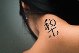 Japanese Japanese Pear Tattoo by Master Japanese Calligrapher Eri Takase