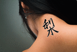 Japanese Japanese Pear Tattoo by Master Japanese Calligrapher Eri Takase