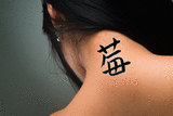 Japanese Strawberry Tattoo by Master Japanese Calligrapher Eri Takase