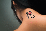 Japanese Peach Tattoo by Master Japanese Calligrapher Eri Takase