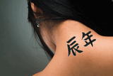 Japanese Year of the Dragon Tattoo by Master Japanese Calligrapher Eri Takase