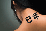 Japanese Year of the Snake Tattoo by Master Japanese Calligrapher Eri Takase
